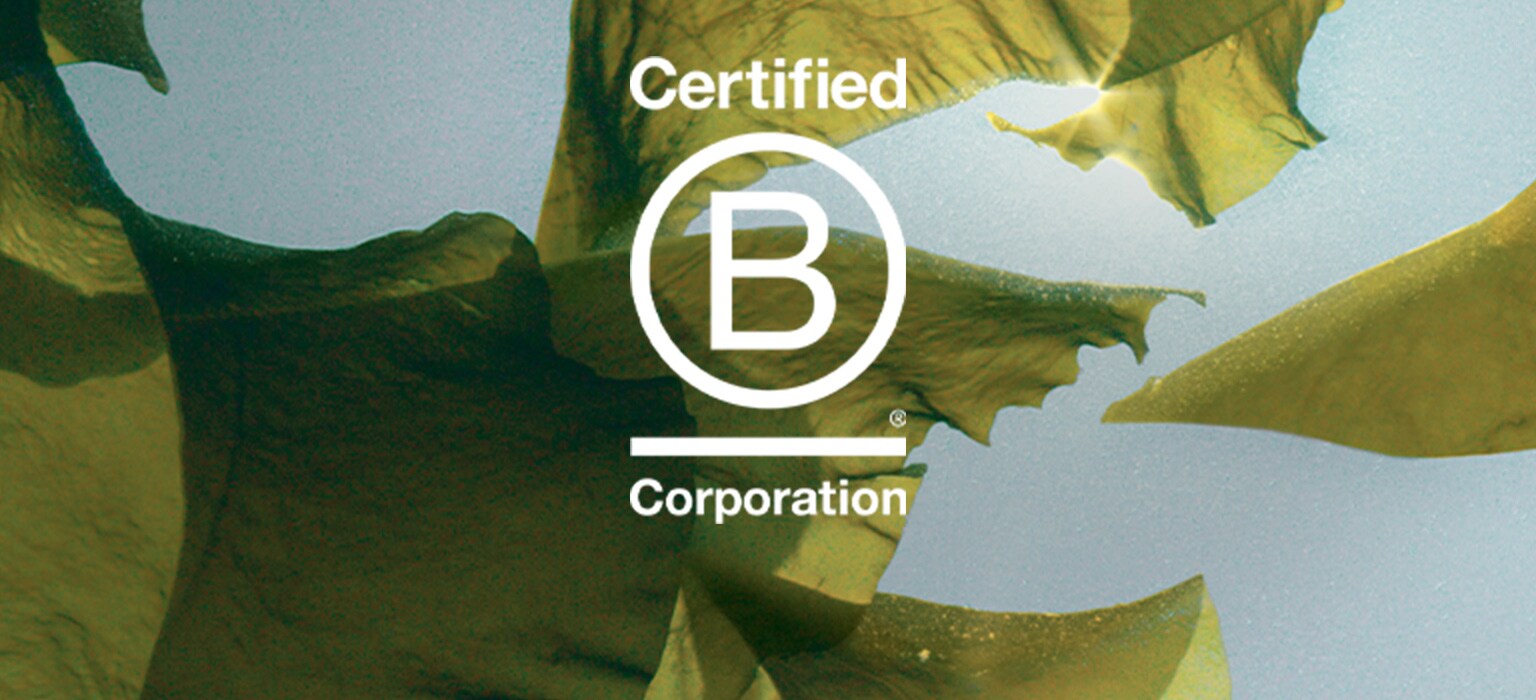 新たにB Corporation認証を取得