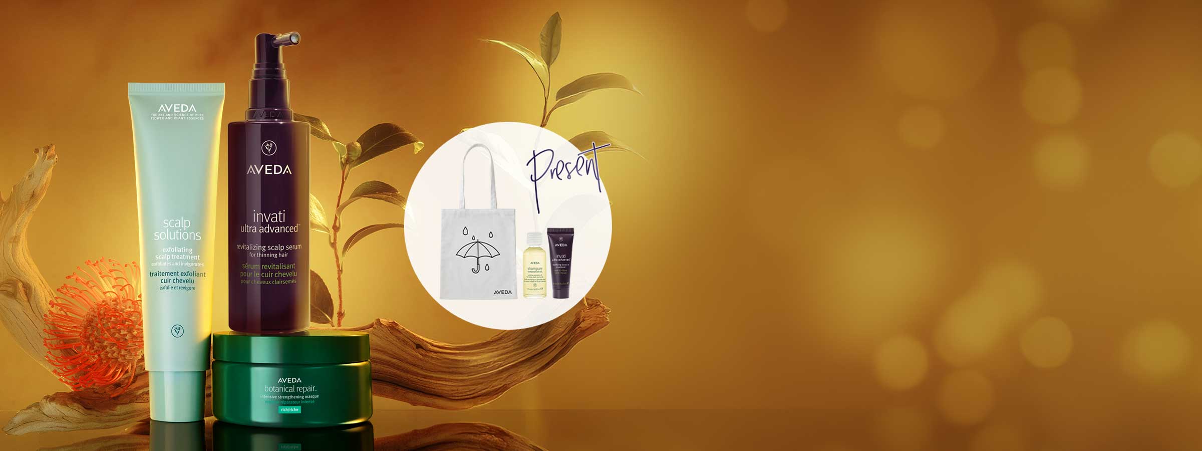 BLACK FRIDAY 対象製品15％OFF