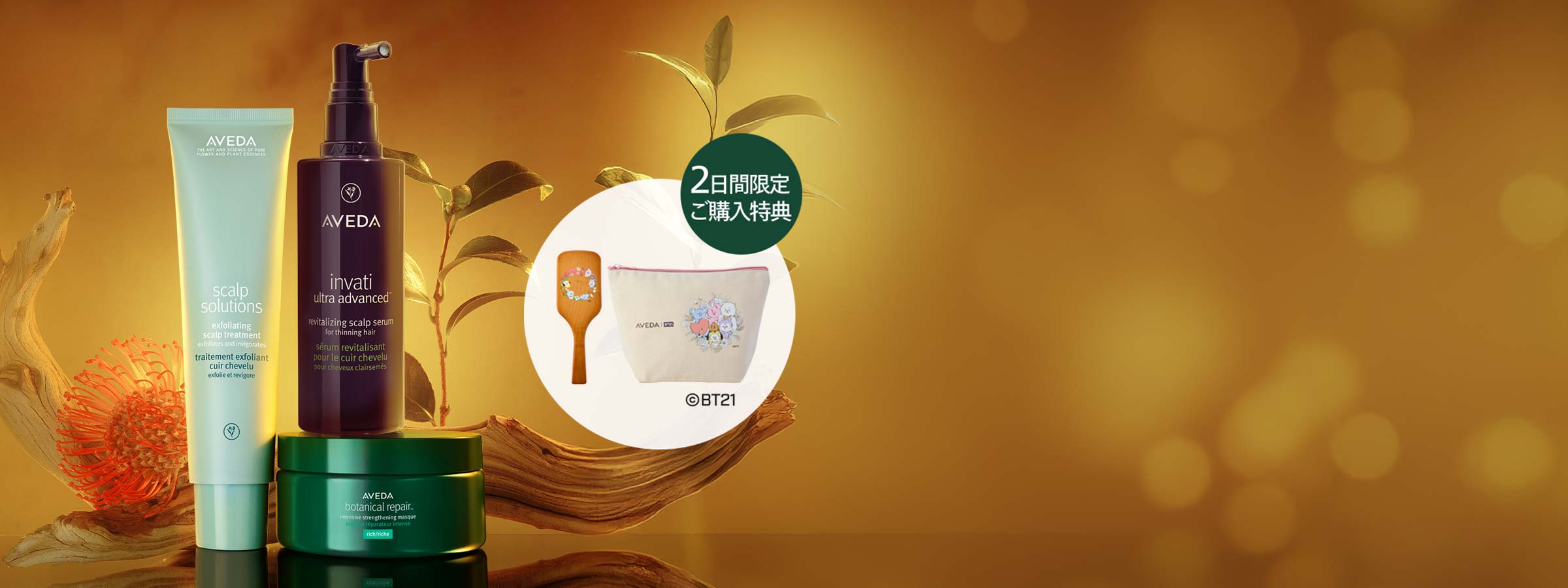 BLACK FRIDAY 対象製品15％OFF