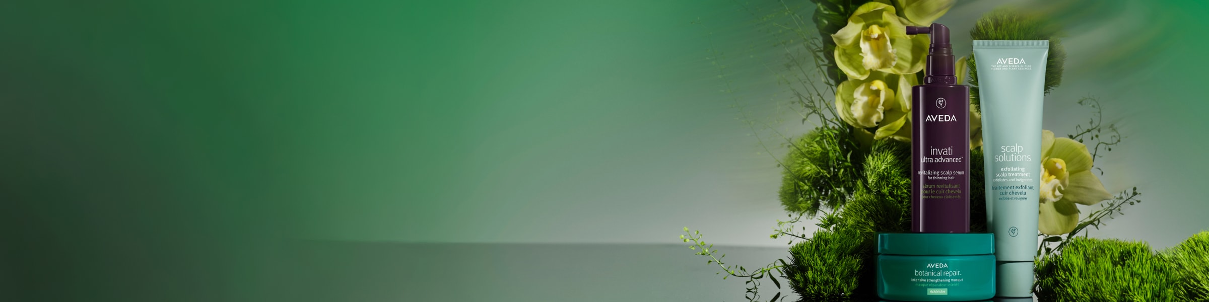 ニューイヤーキャンペーン