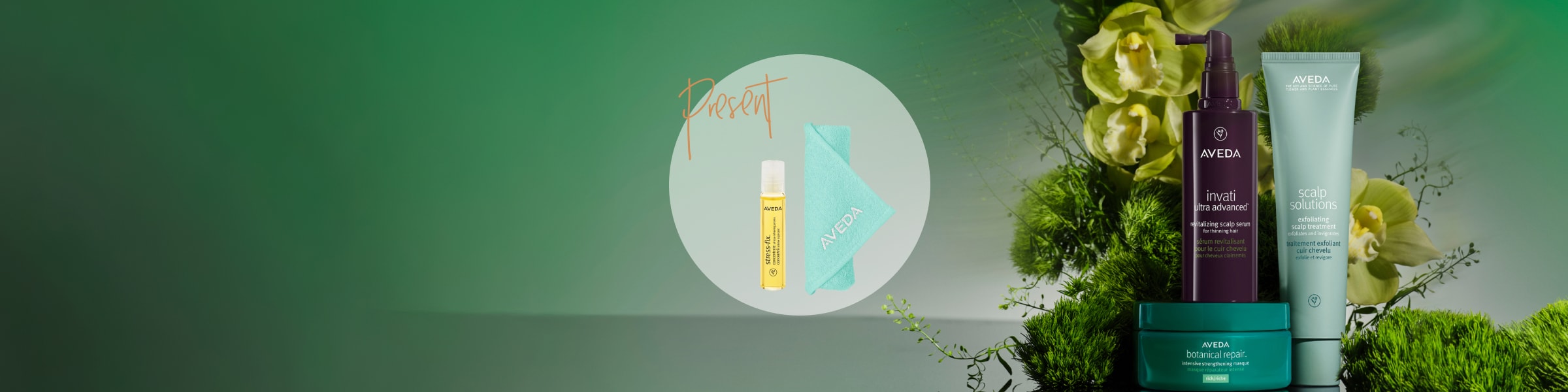 ニューイヤーキャンペーン