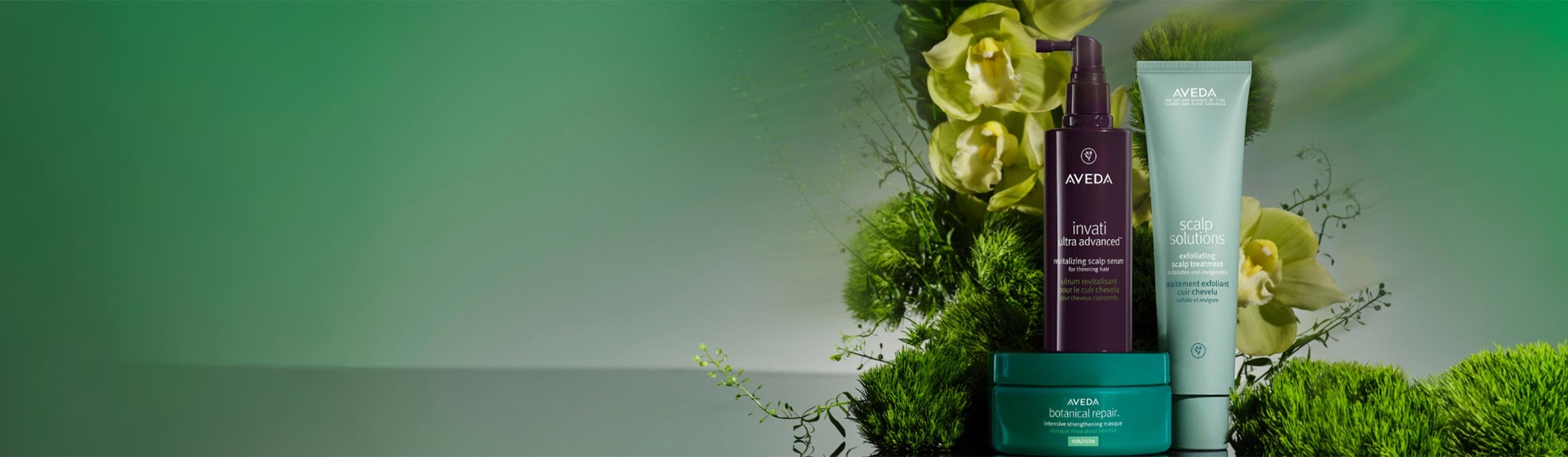 新生活応援キャンペーン