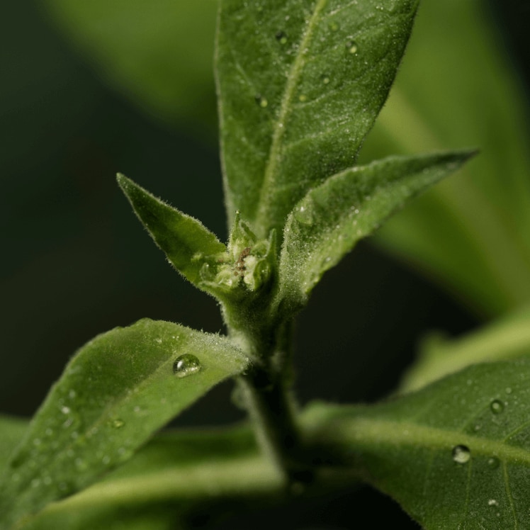 Shop body care products