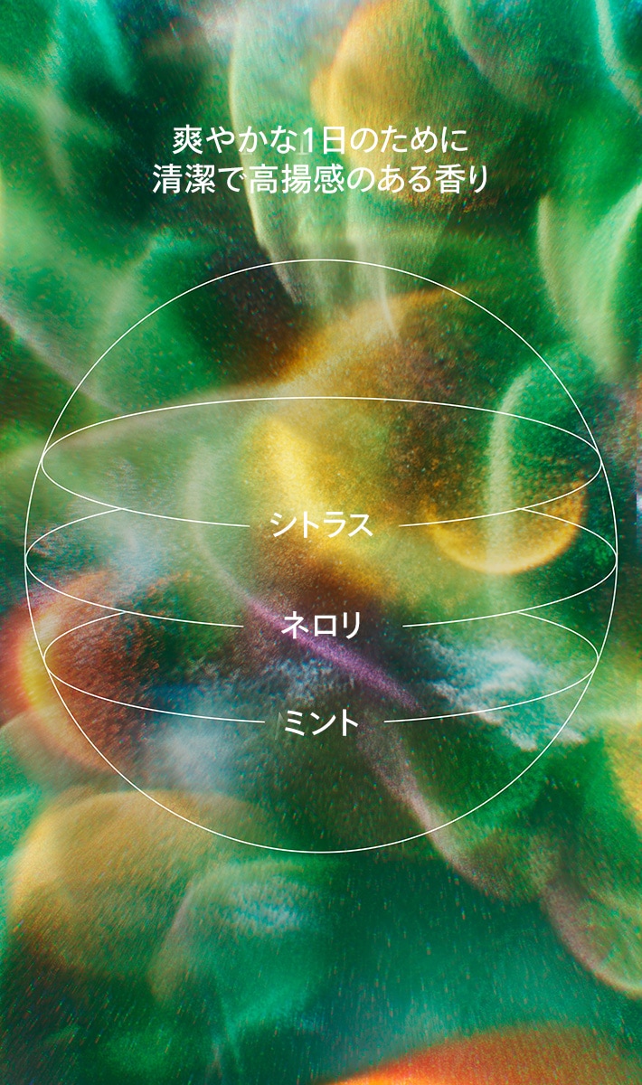 scalp solutions balancing shampoo