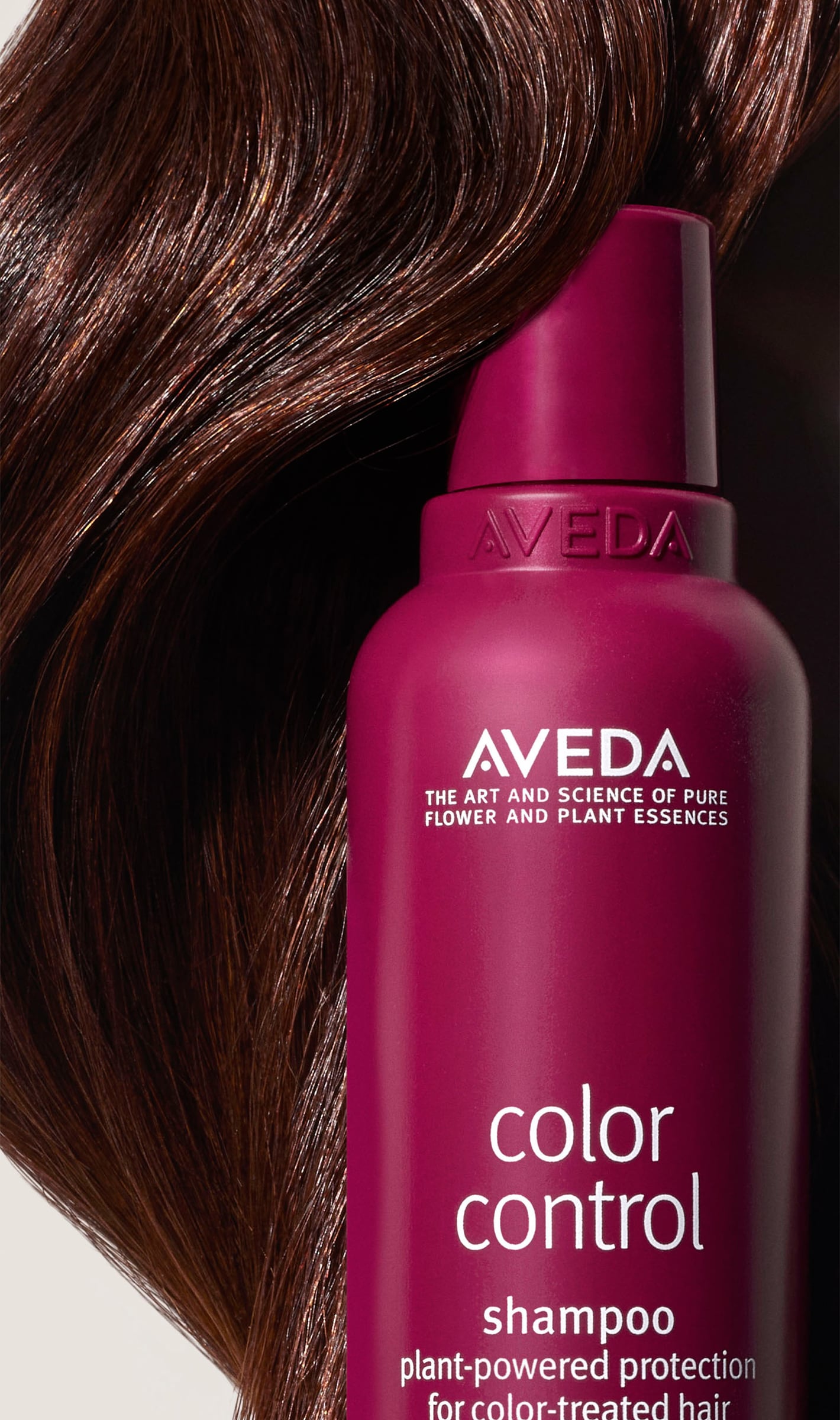 color control rich shampoo
