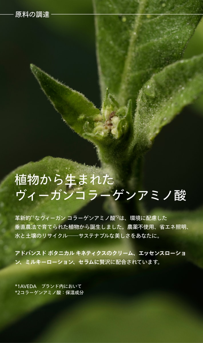 Advanced Botanical Kinetics™ Plumping Milky Lotion