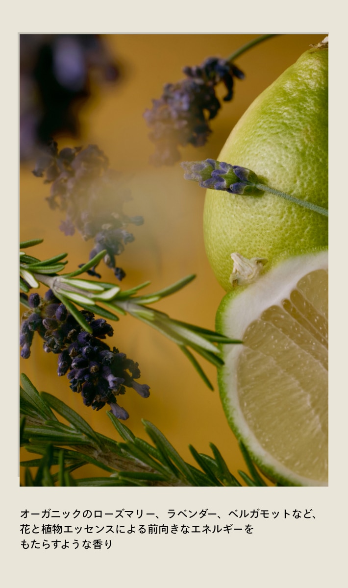 Beautifying Body Lotion