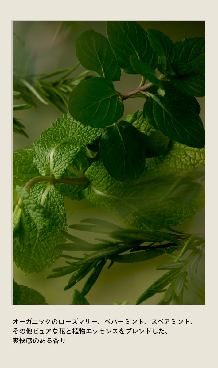 rosemary mint body lotion