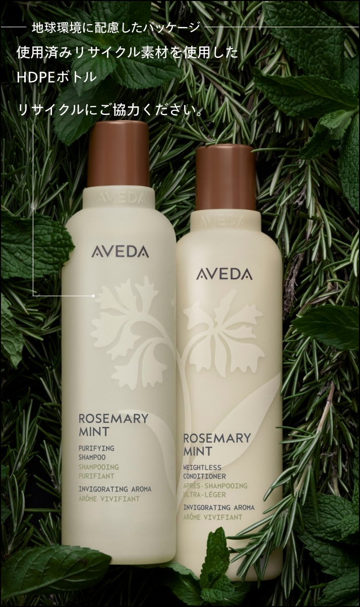 rosemary mint purifying shampoo