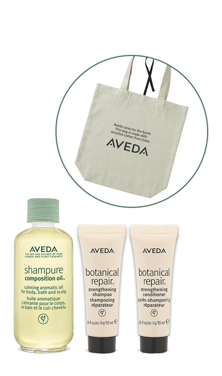 SP composition oil & eco bag set