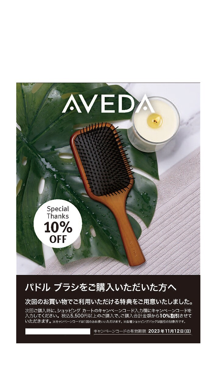 Brochure_Paddle Brush purchaser 10%off 23Summer