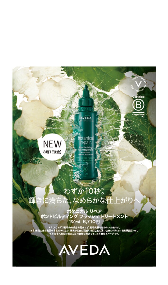 BR/SS Flyer FY24