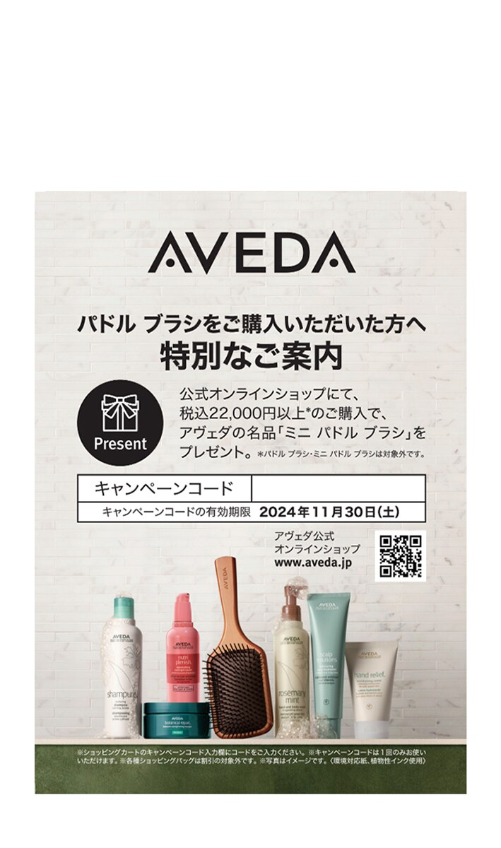 Brochure_mini_Paddle_Brush_FY25_Aug