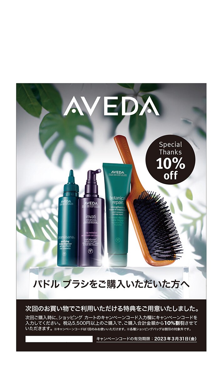 Brochure_10pct Discount Flyer with Paddle Brush Purchase