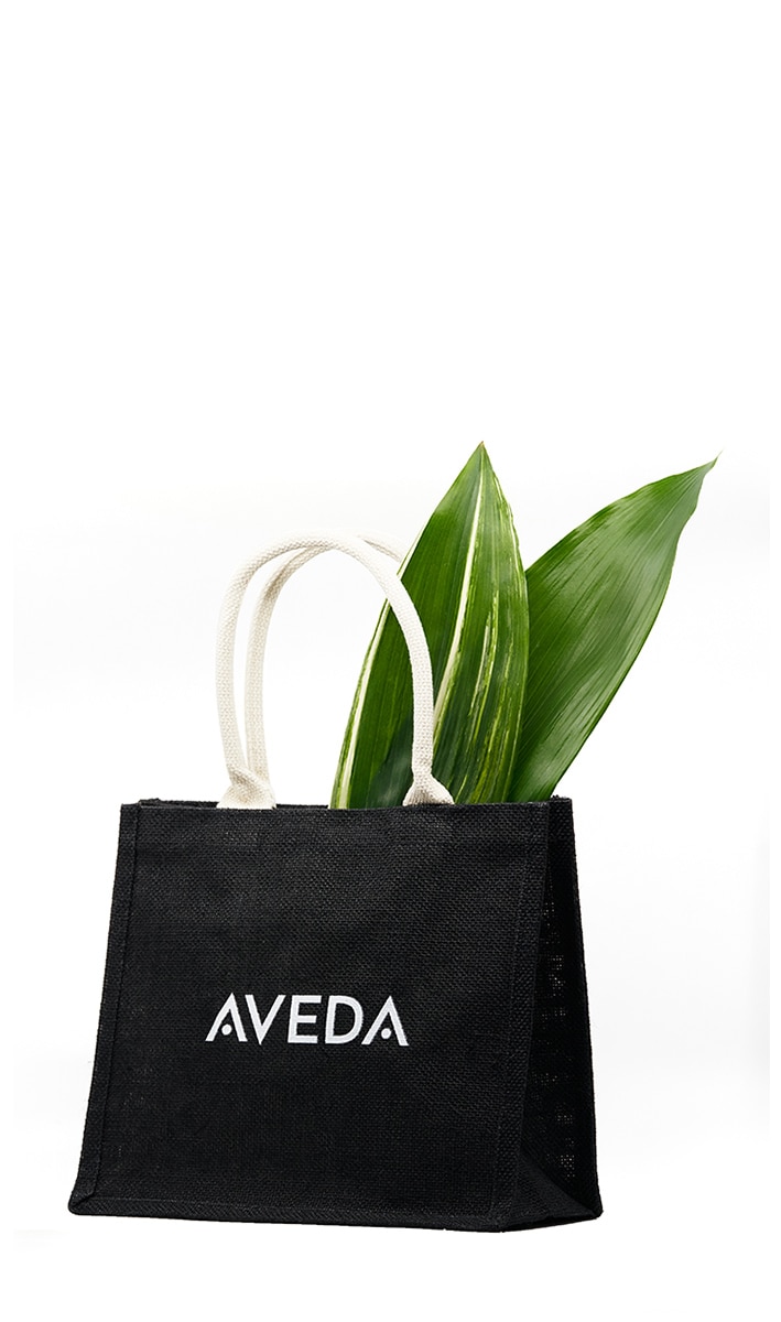 litres tote bag